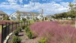 Thomas Place - Carrollton, TX