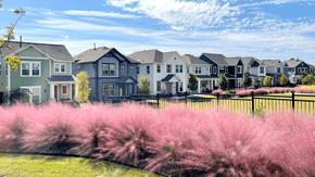 Thomas Place - Carrollton, TX