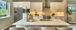 Montevista – Federal Way, WA - Federal Way, WA