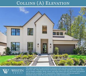 Collins - Wolf Ranch: Georgetown, Texas - Westin Homes