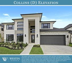 Nolina - Georgetown, TX