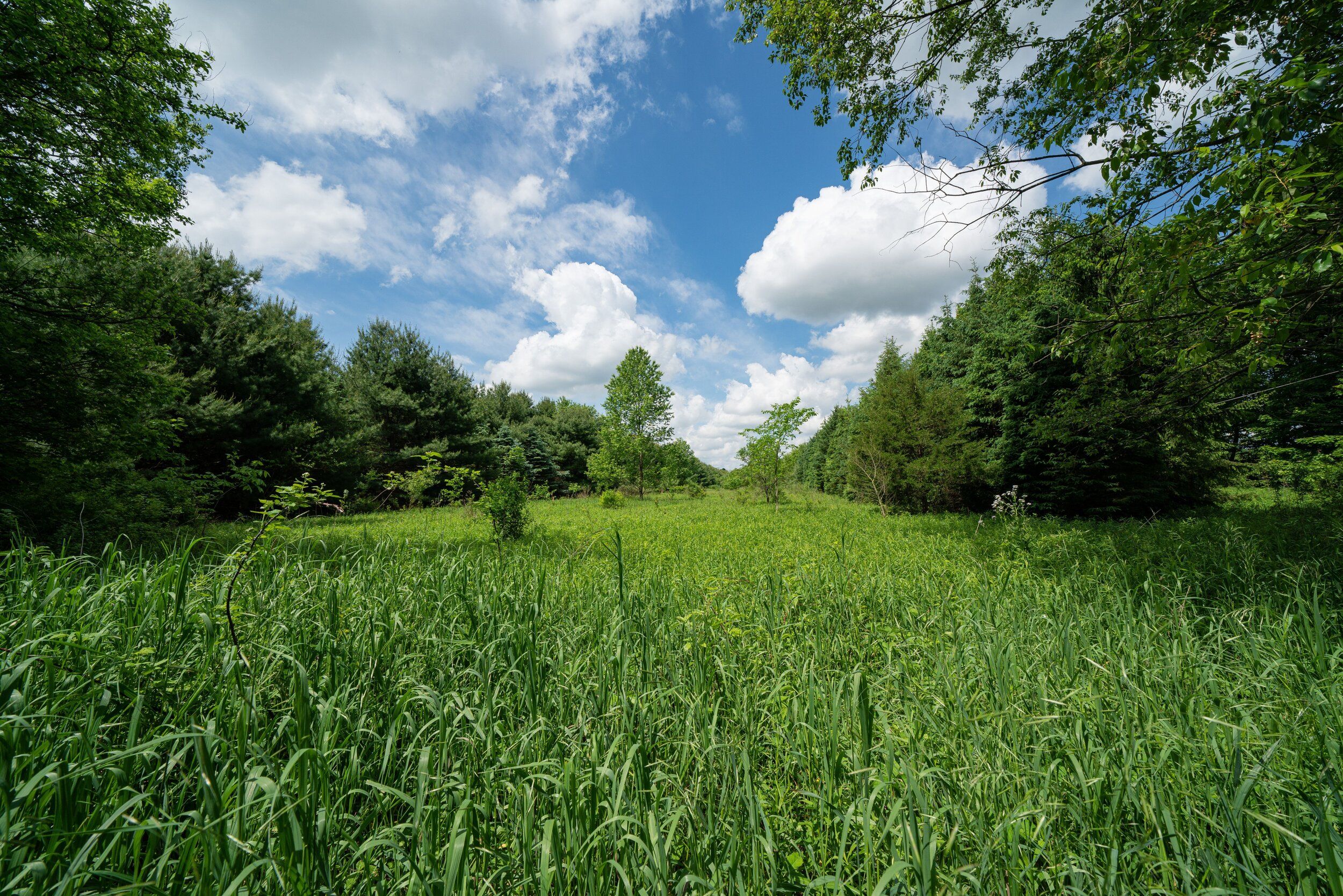 Meadowshire - Richland, MI