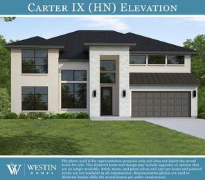 Carter IX