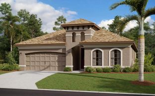 Salerno Home Builder IN Pasco Hernando Counties Sp - Southern Hills Plantation: Brooksville, Florida - Vitale Homes