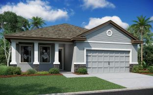 Pompei Home Builder IN Pasco Hernando Counties Spr - Southern Hills Plantation: Brooksville, Florida - Vitale Homes