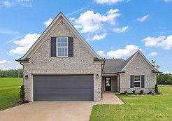 Ash - Pine Wood: Southaven, Tennessee - Sky Lake Construction