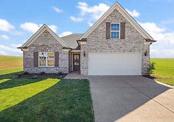 Basswood - Pine Wood: Southaven, Tennessee - Sky Lake Construction