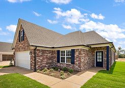 Paper Birch - Pine Wood: Southaven, Tennessee - Sky Lake Construction