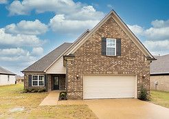 Chestnut - Pine Wood: Southaven, Tennessee - Sky Lake Construction
