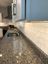 casa en Hunter Creek Homes por Hunter Creek Homes
