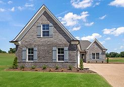 Palm - Pine Wood: Southaven, Tennessee - Sky Lake Construction
