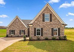 Bamboo - Pine Wood: Southaven, Tennessee - Sky Lake Construction