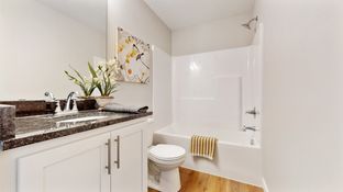 Truman - River Walk Village: Anoka, Minnesota - Price Custom Homes