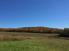 South Meadow - Cazenovia, NY