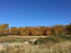 South Meadow - Cazenovia, NY