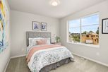 Ryncarz Court - Spanaway, WA