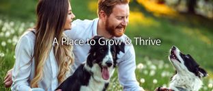 Stone Creek por Amedore Homes en Albany-Saratoga New York