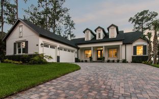Sawgrass Home Builder IN Pasco Hernando Counties S - Southern Hills Plantation: Brooksville, Florida - Vitale Homes
