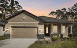 Hidden Ridge (new Community) - New Port Richey, FL