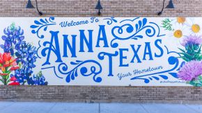 Meadow Vista - Anna, TX