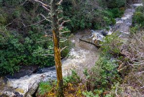 Lot 2 Saratay Falls Drive Cashiers NC (Plan Unknown)