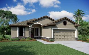 Venezia Home Builder IN Pasco Hernando Counties Sp - Rose Haven: New Port Richey, Florida - Vitale Homes