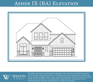 Asher IX - Nolina: Georgetown, Texas - Westin Homes