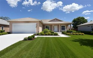 Foxtail Palm - Passage Island Construction: Vero Beach, Florida - Passage Island Construction