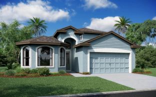 Napoli Home Builder IN Pasco Hernando Counties Spr - Southern Hills Plantation: Brooksville, Florida - Vitale Homes