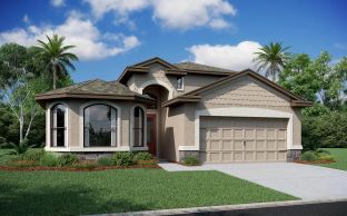 Napoli Home Builder IN Pasco Hernando Counties Spr - Royal Highlands: Brooksville, Florida - Vitale Homes