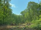 Christy Reserve - Stafford, VA