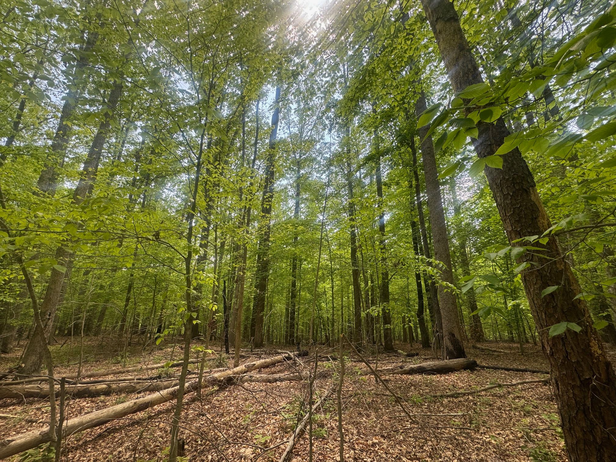 casa en Christy Reserve por Hour Homes Inc