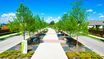 casa en Solterra Texas por Huffines Communities