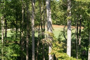 3116 Balley Forrest Drive Alpharetta GA (Plan Unknown)