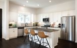 Villas Collection at Kissing Tree - San Marcos, TX