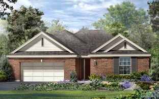 Trinity - Traditional Collection at Kissing Tree: San Marcos, Texas - Brookfield Residential