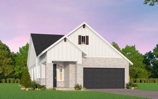 Newberry - Traditional Collection at Kissing Tree: San Marcos, Texas - Brookfield Residential