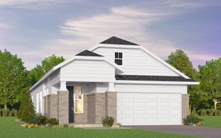 Pomona - Traditional Collection at Kissing Tree: San Marcos, Texas - Brookfield Residential