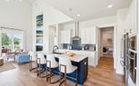 Single Family Homes at Nexton - Summerville, SC