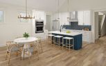Single Family Homes at Nexton - Summerville, SC