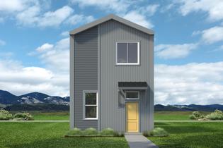 Leadville Image