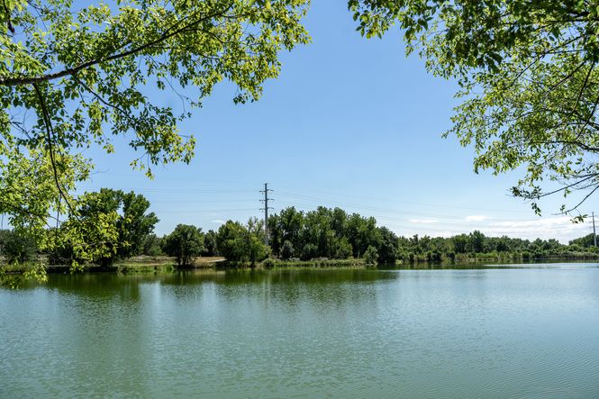 Evans Riverside Park - Pond