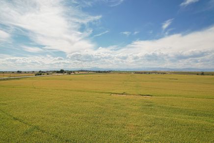 Union Colony West - Nearby Farmland