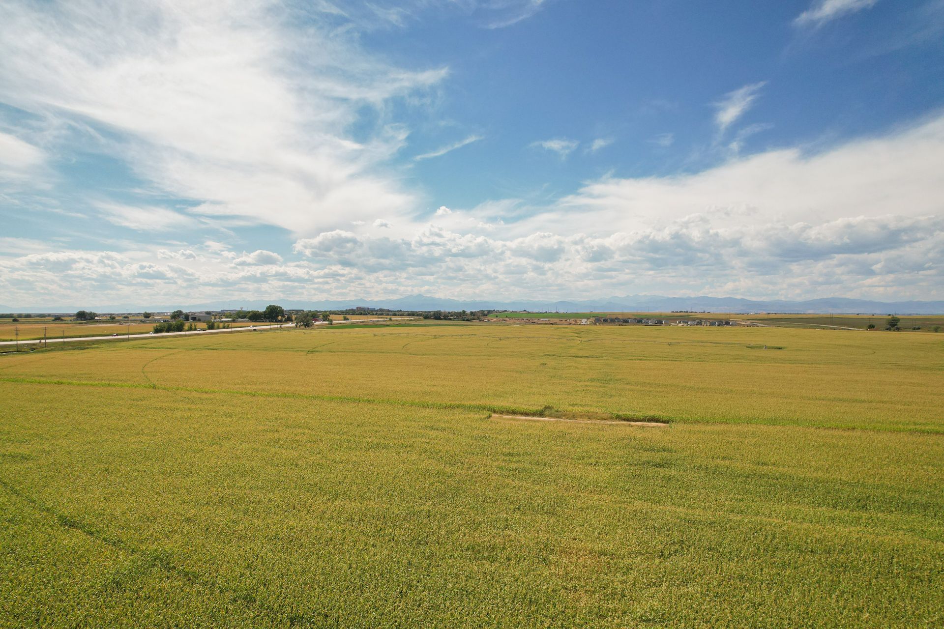 Union Colony West - Nearby Farmland