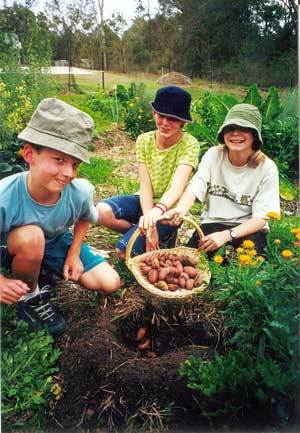 Byrd Home Builders. Inc por Byrd Home Builders. Inc en Mobile Alabama