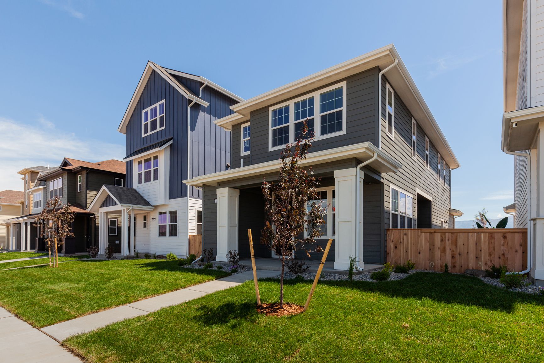 Prescott Ranch Morgan Series Plan 1