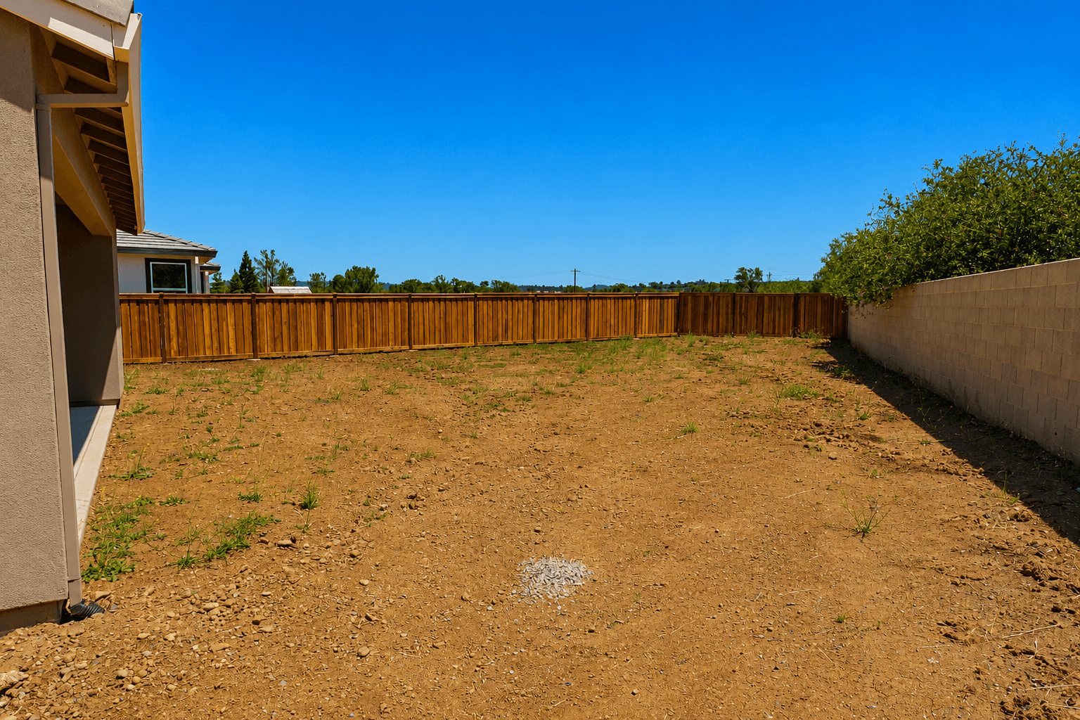 Backyard unedited photo