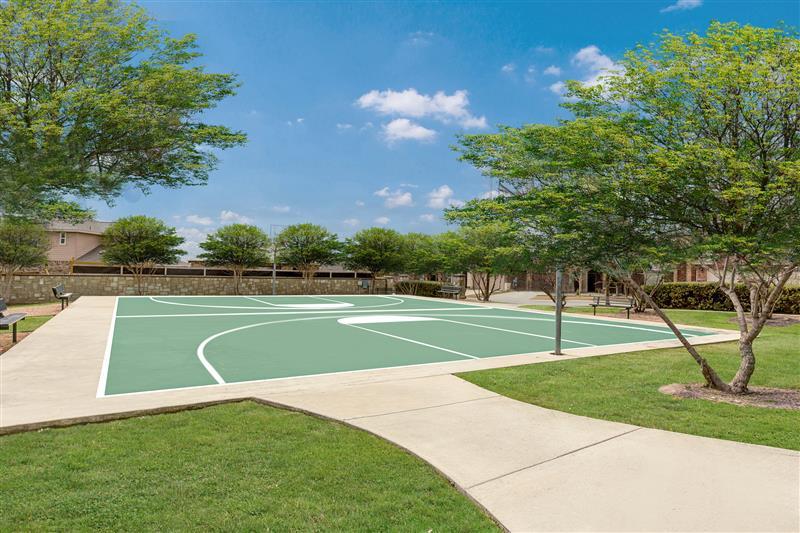 Basketball Court