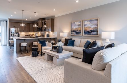 Potomac Great Room and Kitchen