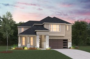 11211 Tropical Forest Way (Summerfield)